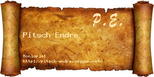 Pitsch Endre névjegykártya